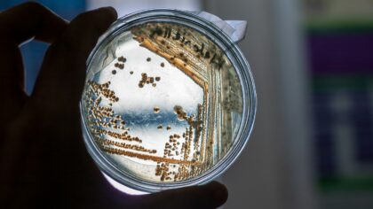 How bacteria talk to each other and why it matters for you