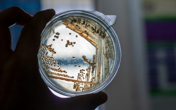 How bacteria talk to each other and why it matters for you