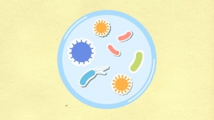 How viruses copy themselves inside your cells and what can stop them
