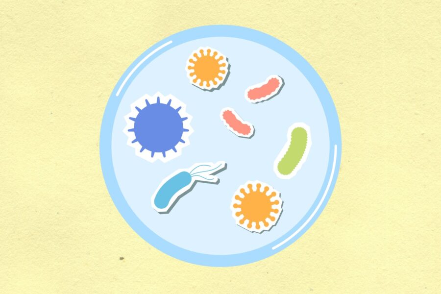 Virus cell infection