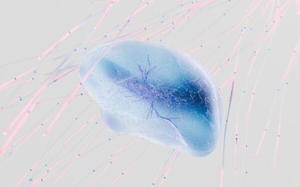 How your brain predicts the future every second and why it sometimes gets it wrong