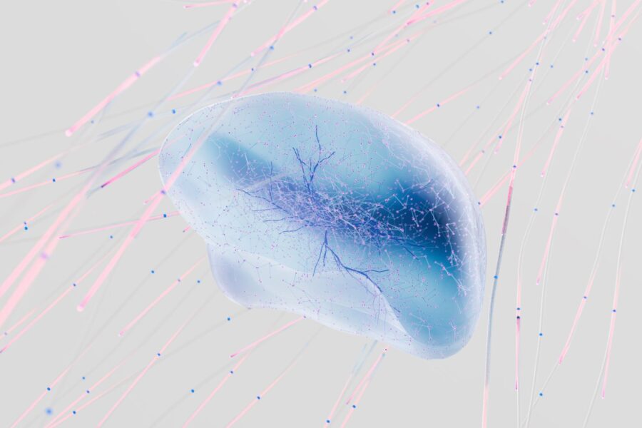 Human brain neural