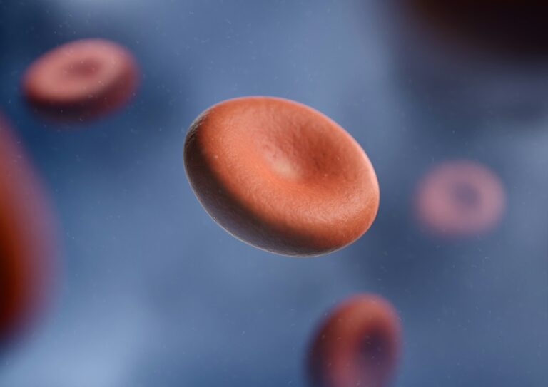 Lymphocyte diagram