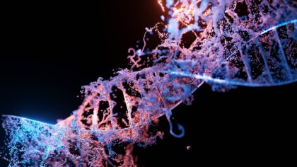 How DNA makes you you: a simple guide to genes, traits and everyday life