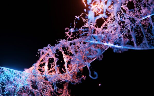 How DNA makes you you: a simple guide to genes, traits and everyday life