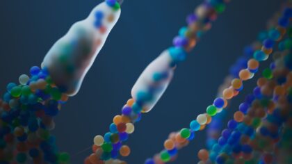 How DNA makes you you: a simple guide to genetics basics for everyday life