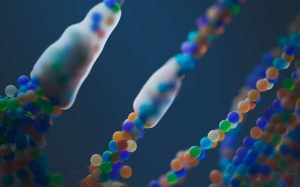 How DNA makes you you: a simple guide to genetics basics for everyday life
