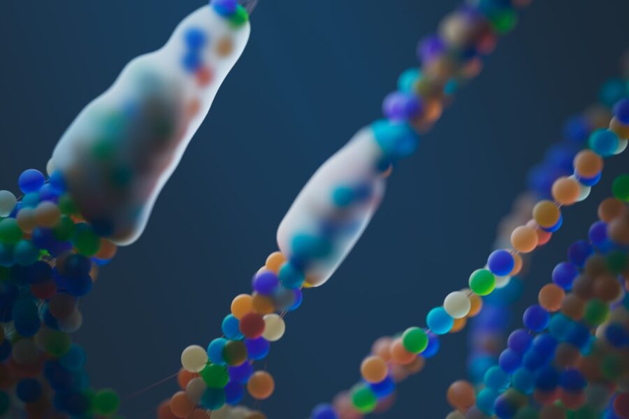 How DNA makes you you: a simple guide to genetics basics for everyday life - DNA Genetics Health Science Human Biology