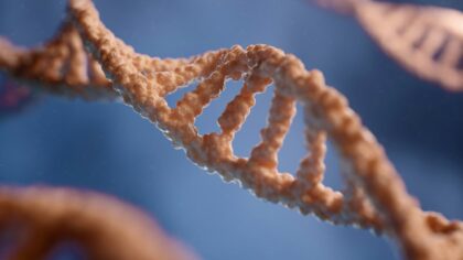 How epigenetics turns life experience into lasting biological changes