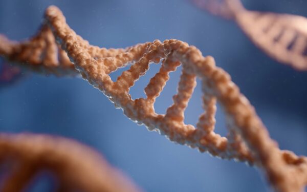 How epigenetics turns life experience into lasting biological changes