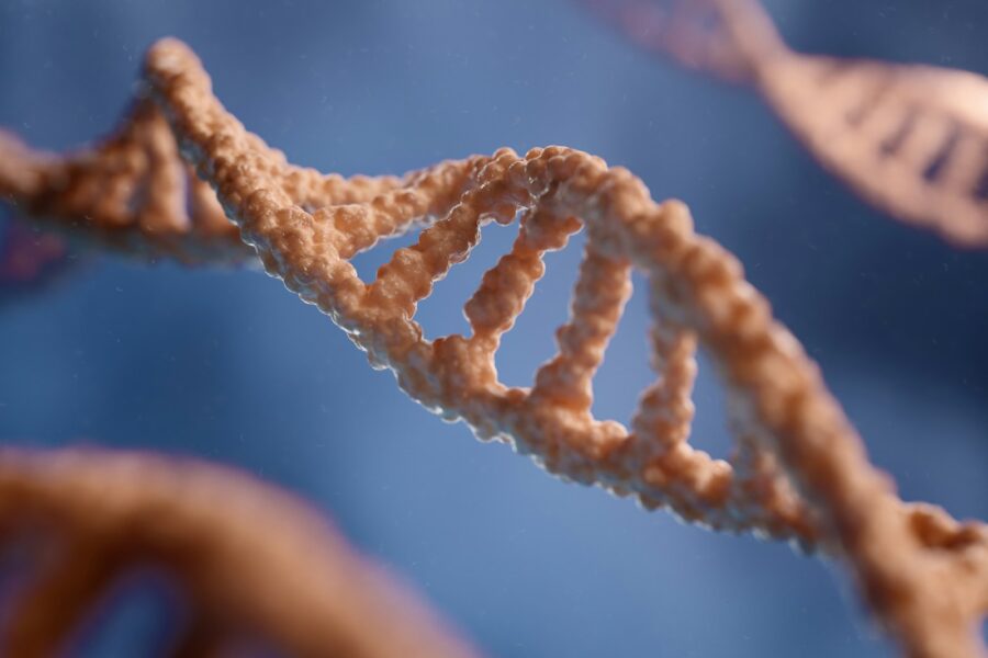 Dna strand methylation