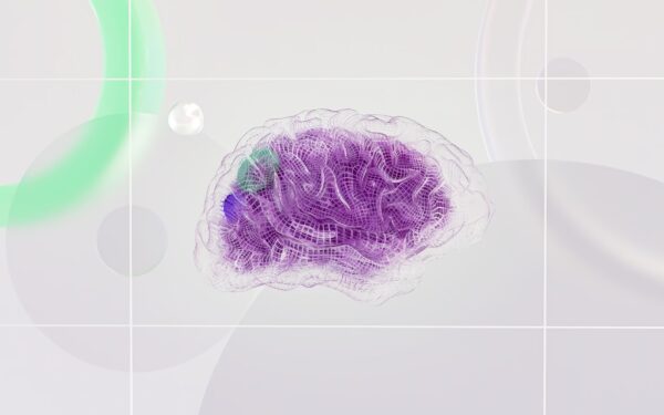 How neurons talk to each other: a simple guide to brain signals