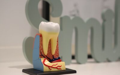 How saliva protects your teeth: a simple guide to your mouth’s overlooked defender