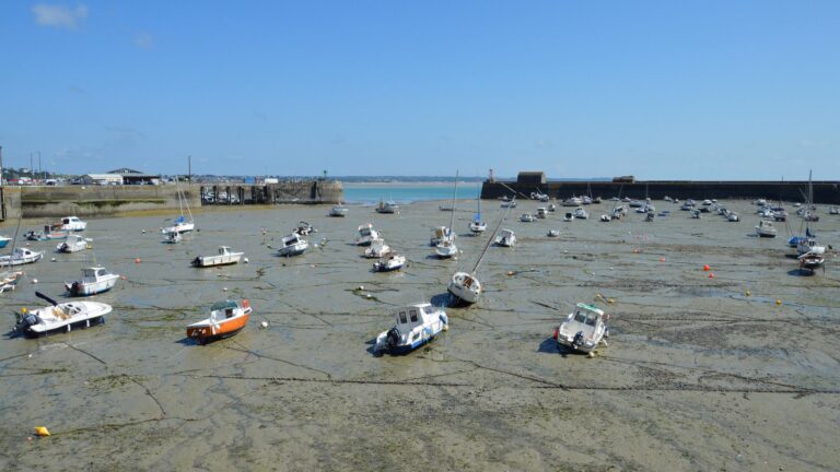 Harbor tidal flats