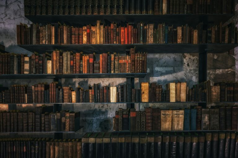 Library shelves academic
