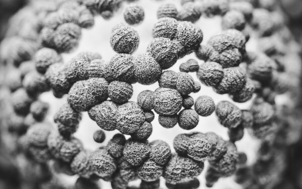 How white blood cells patrol your body: a simple guide to your cellular defenders
