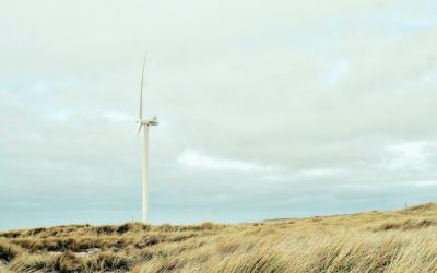 How wind turbines generate power: a simple guide to turning air into electricity