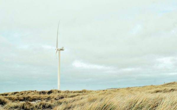 How wind turbines generate power: a simple guide to turning air into electricity