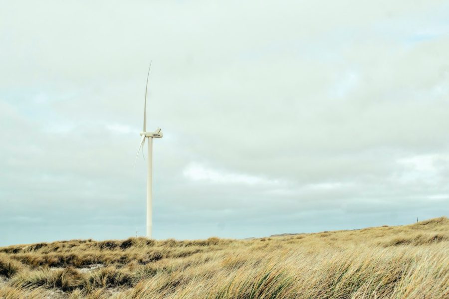 Wind turbine field