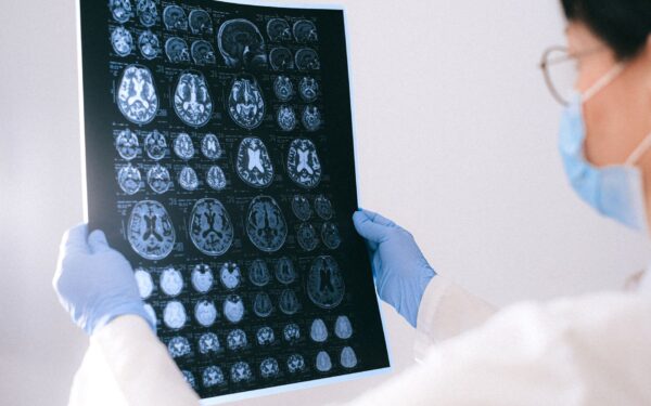 How your brain keeps time: a simple guide to your internal clock and daily rhythm