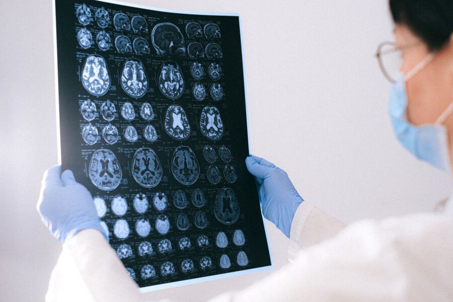 How your brain keeps time: a simple guide to your internal clock and daily rhythm - Brain Circadian rhythm Health education Neuroscience