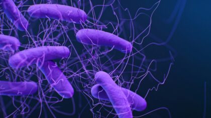 How your gut microbes digest your food: a simple guide to the microbiome in action