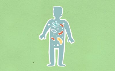 How your gut microbiome shapes health: a simple guide to the tiny neighbors in your intestines