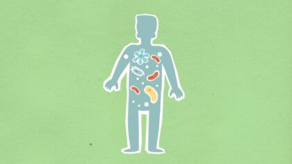 How your gut microbiome shapes health: a simple guide to the tiny neighbors in your intestines