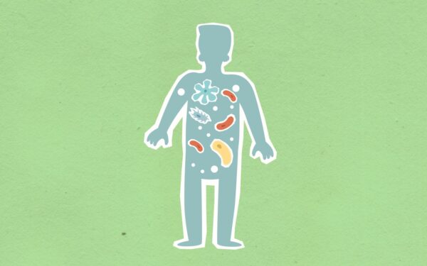 How your gut microbiome shapes health: a simple guide to the tiny neighbors in your intestines