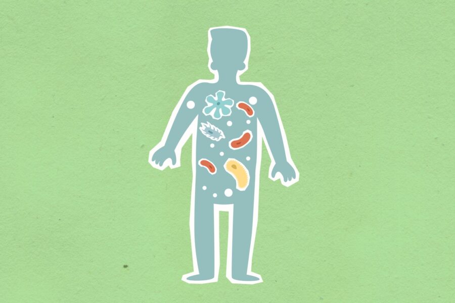 Gut microbiome intestine